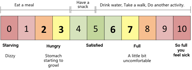 Scale 0 to 10 showing the stages of hunger in relation to needing to eat. 